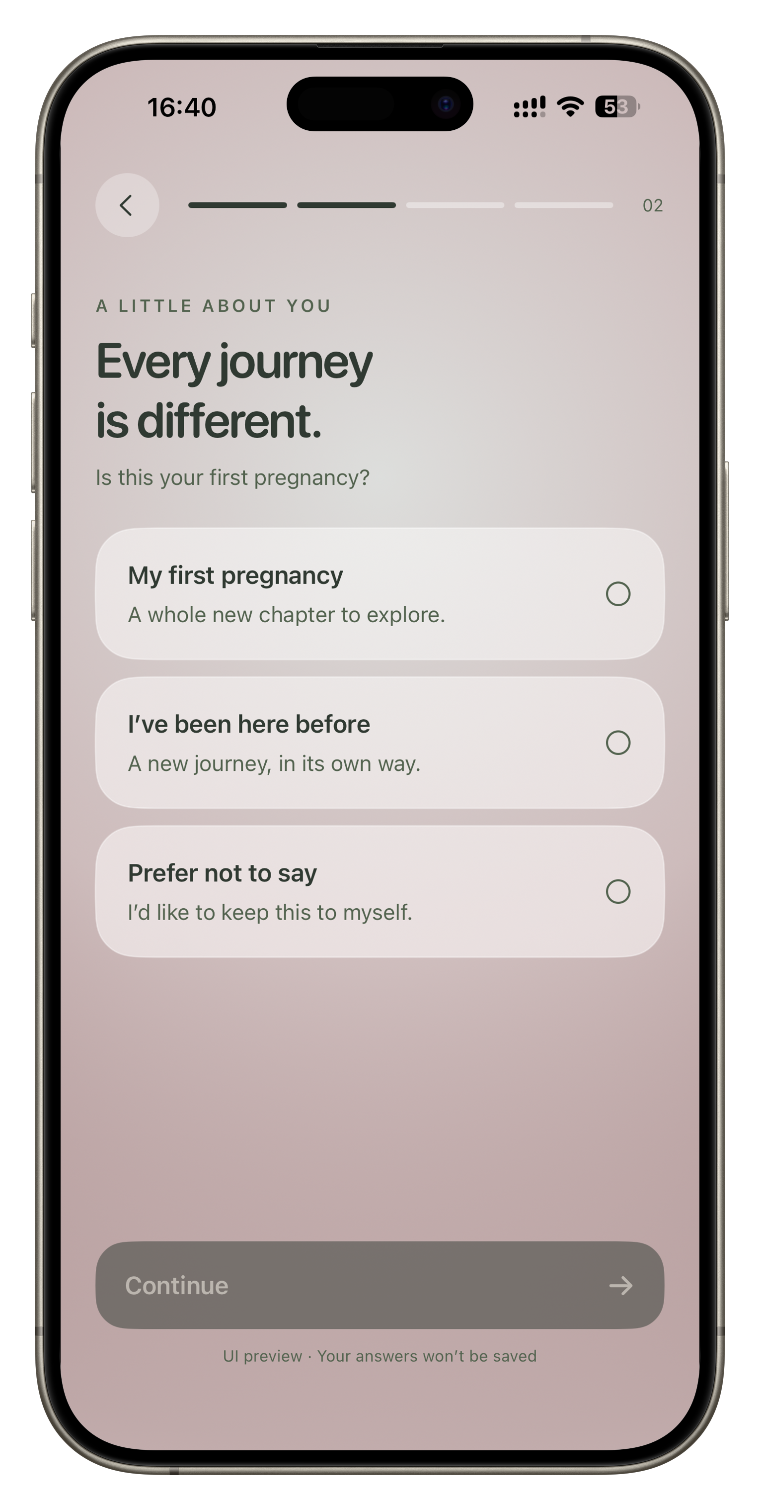 pULA onboarding on a natural titanium iPhone